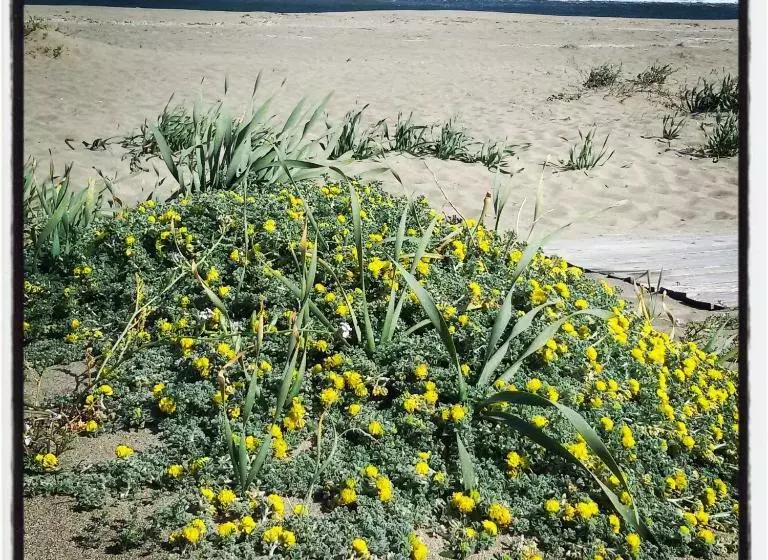 تختخواب و صبحانه Mirto E Mare