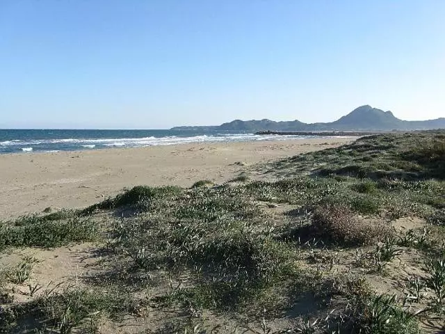 تختخواب و صبحانه Mirto E Mare