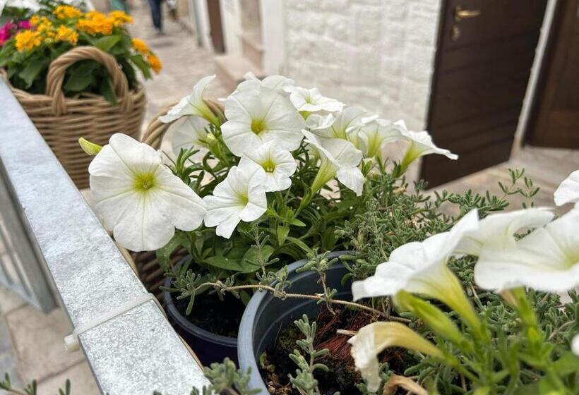 تختخواب و صبحانه Trame   Poesia Di Mare