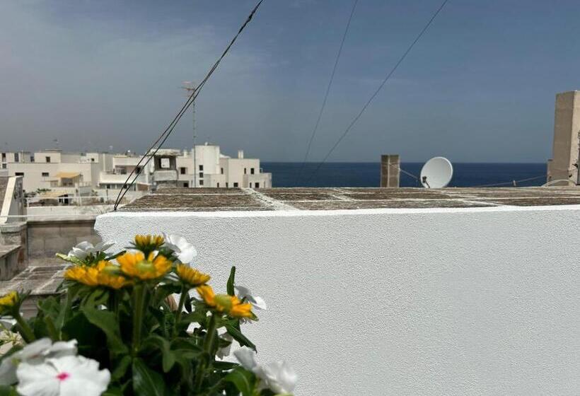 تختخواب و صبحانه Trame   Poesia Di Mare