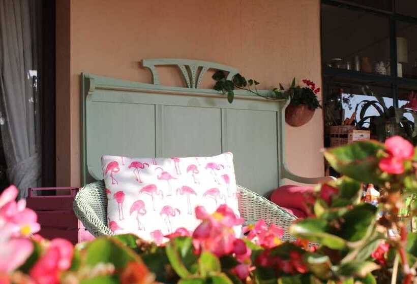 مبيت وإفطار Santa Igia Country House