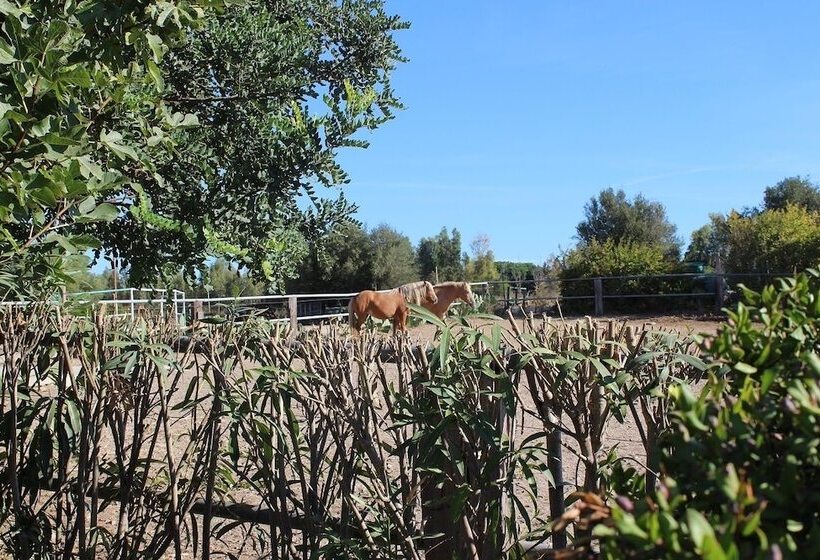 مبيت وإفطار Santa Igia Country House