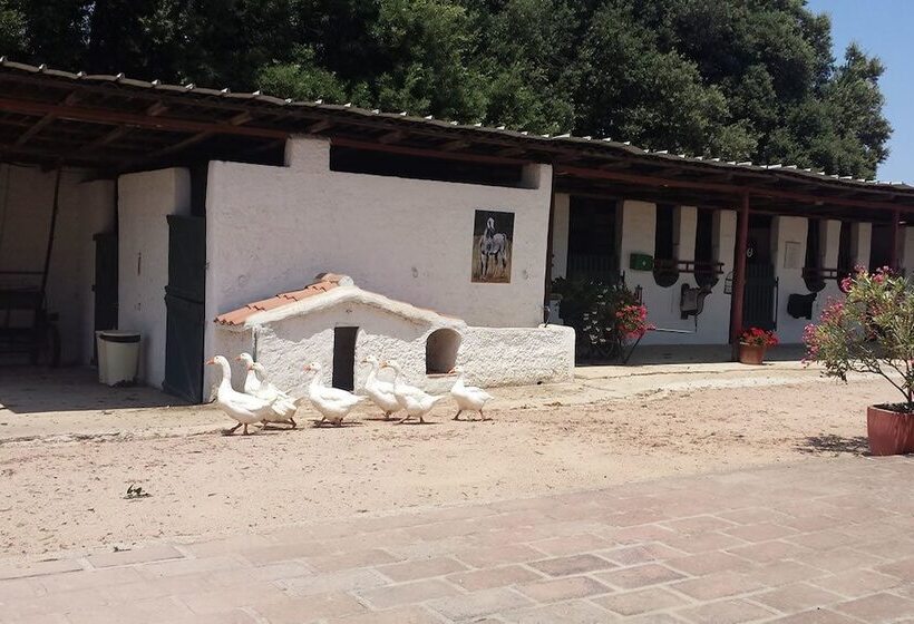 مبيت وإفطار Santa Igia Country House