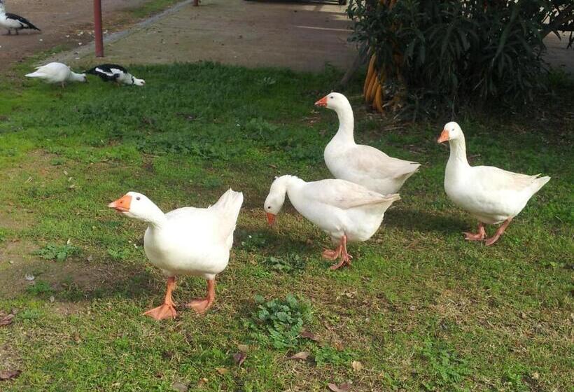 مبيت وإفطار Santa Igia Country House