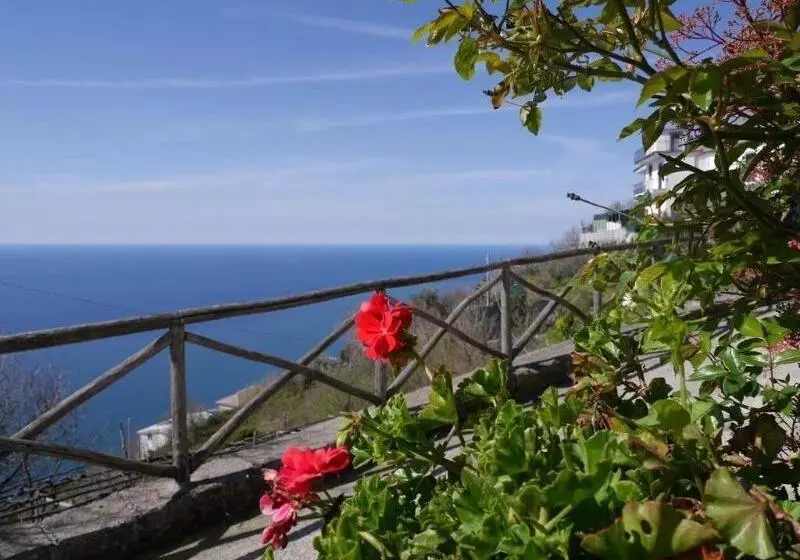 Aamiaismajoitus (B&B) Solaria