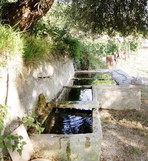 Bed & Breakfast Casa Lisetta