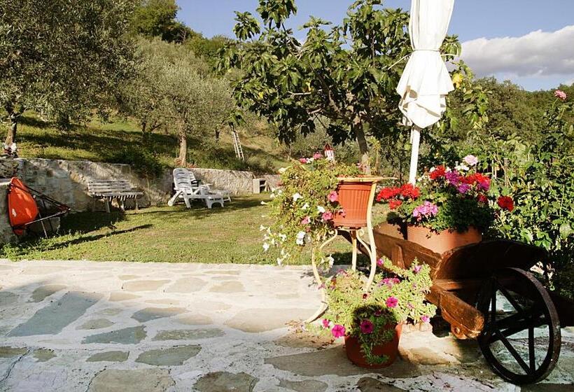 Bed & Breakfast Casa Lisetta