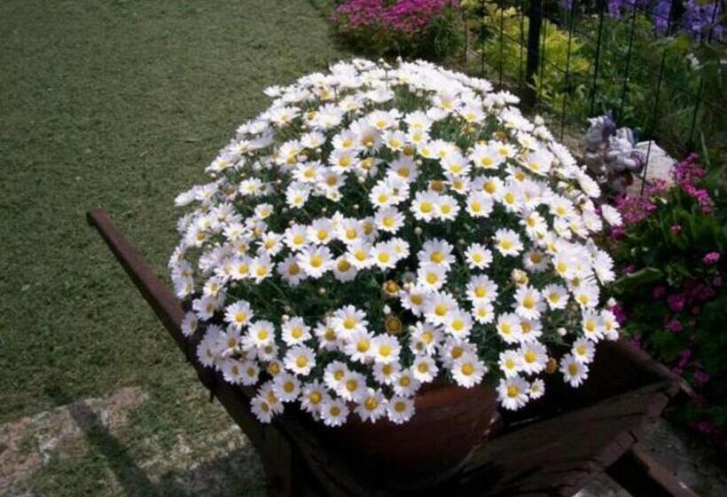 Bed & Breakfast Casa Lisetta