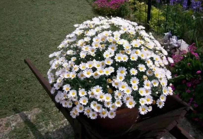Bed & Breakfast Casa Lisetta