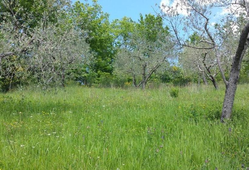 Bed & Breakfast Casa Lisetta