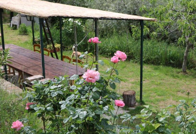 Bed & Breakfast Casa Lisetta