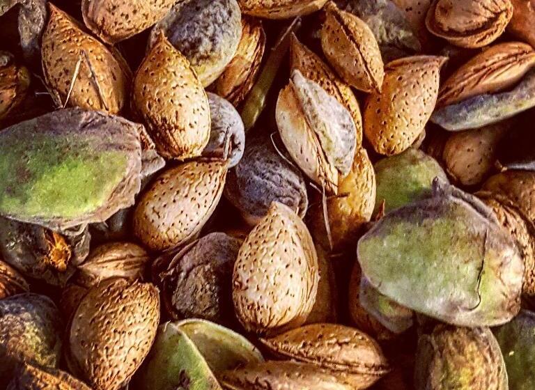 Bed & Breakfast Casa Lisetta