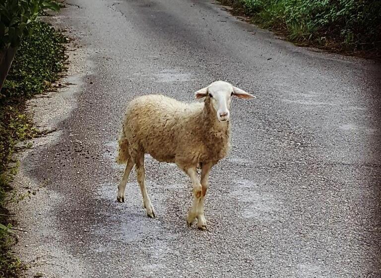 Bed & Breakfast Casa Lisetta