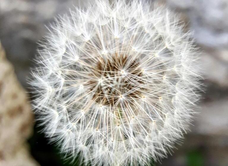 Bed & Breakfast Casa Lisetta