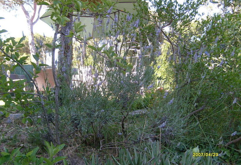 Bed & Breakfast Verdemare