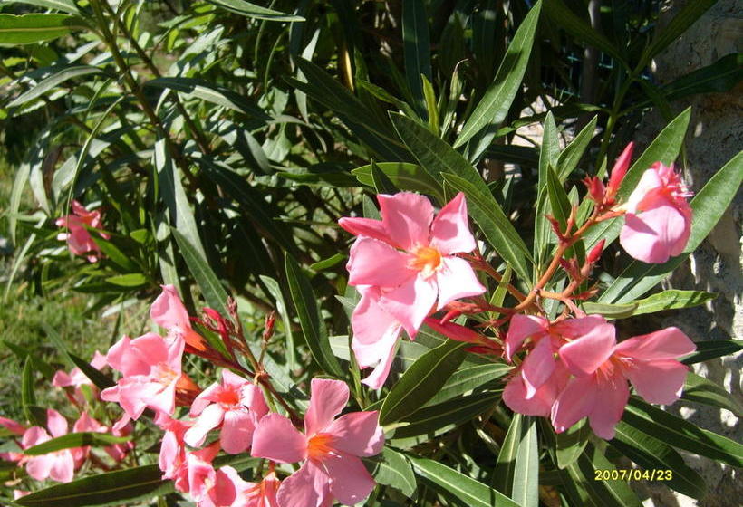 Bed & Breakfast Verdemare