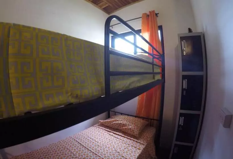 Boquete Lodge   Hostel