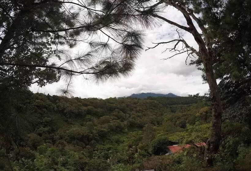 Boquete Lodge   Hostel