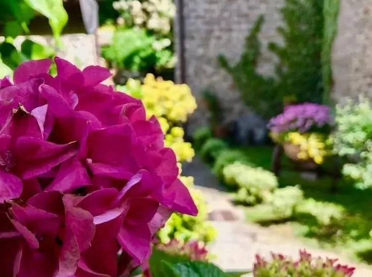 Hotelli Agriturismo Biologico Castello Della Pieve