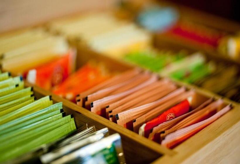 בית מלון כפרי Albergo Villa Mimosa