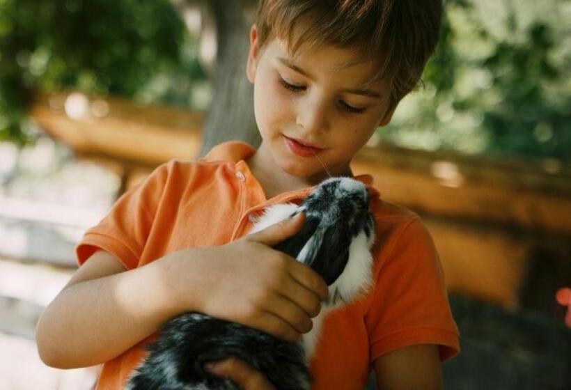 酒店 Hubertusstube