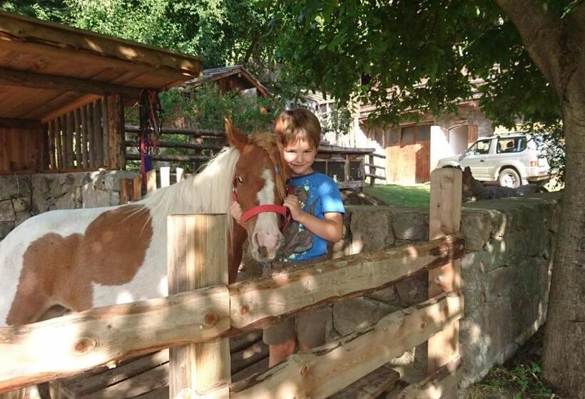 酒店 Hubertusstube