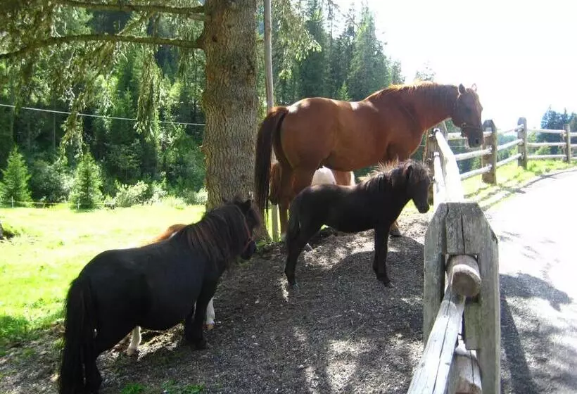 Hotelli Hubertusstube