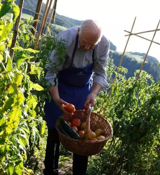 Hotelli Hubertusstube