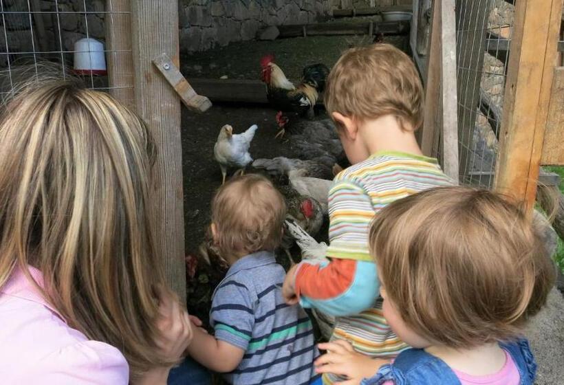 酒店 Hubertusstube