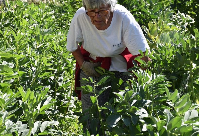 ホテル La Gioiosa