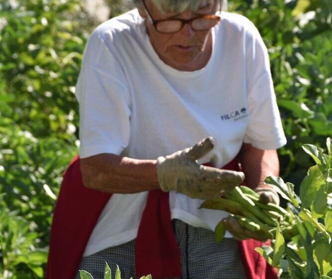ホテル La Gioiosa