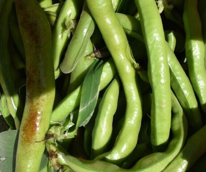 ホテル La Gioiosa