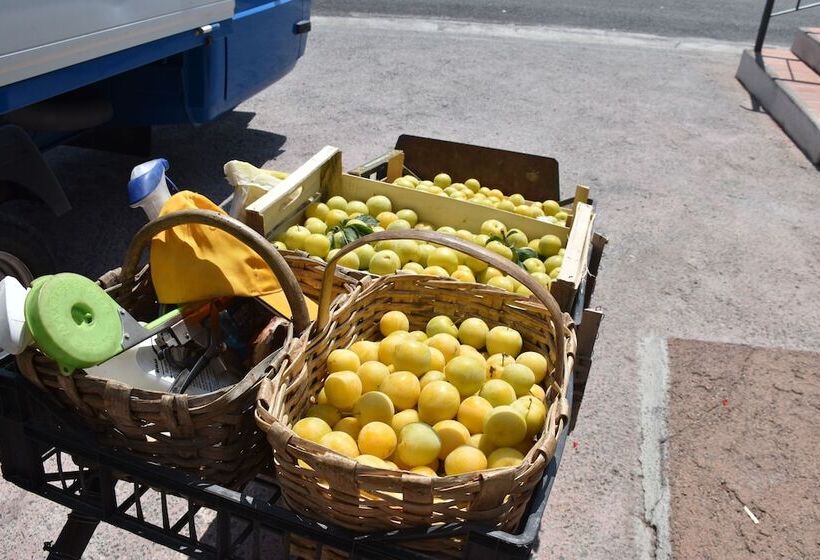 ホテル La Gioiosa