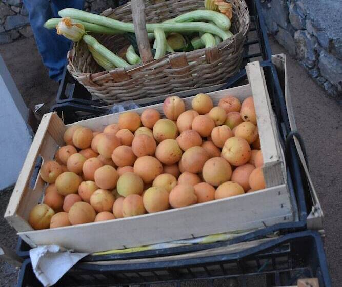 ホテル La Gioiosa