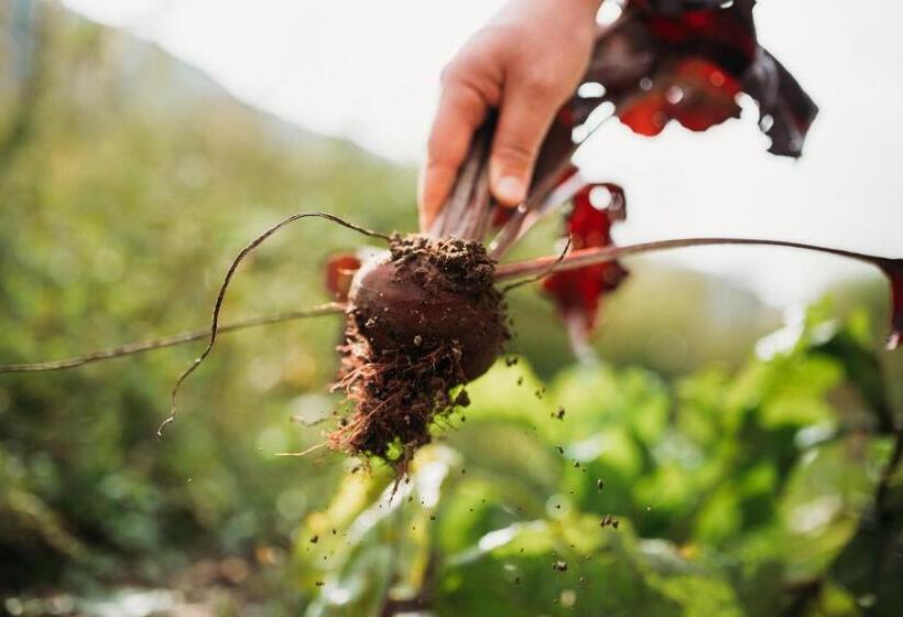 Weingut & Genusshotel Spitalerhof Superior