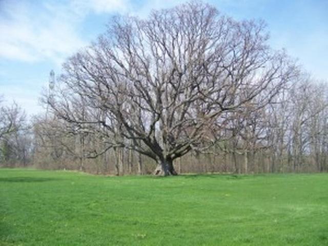 ベッドアンドブレックファースト Farrell House Lodge At Sunnybrook Trout Club