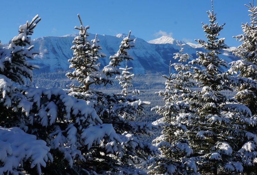 مبيت وإفطار Whitewater Lodge