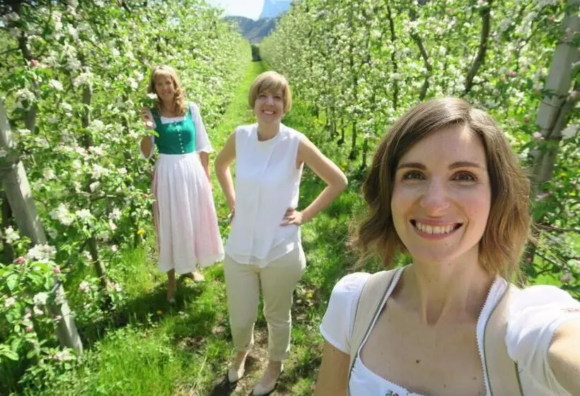 ホテル Burgleitenhof