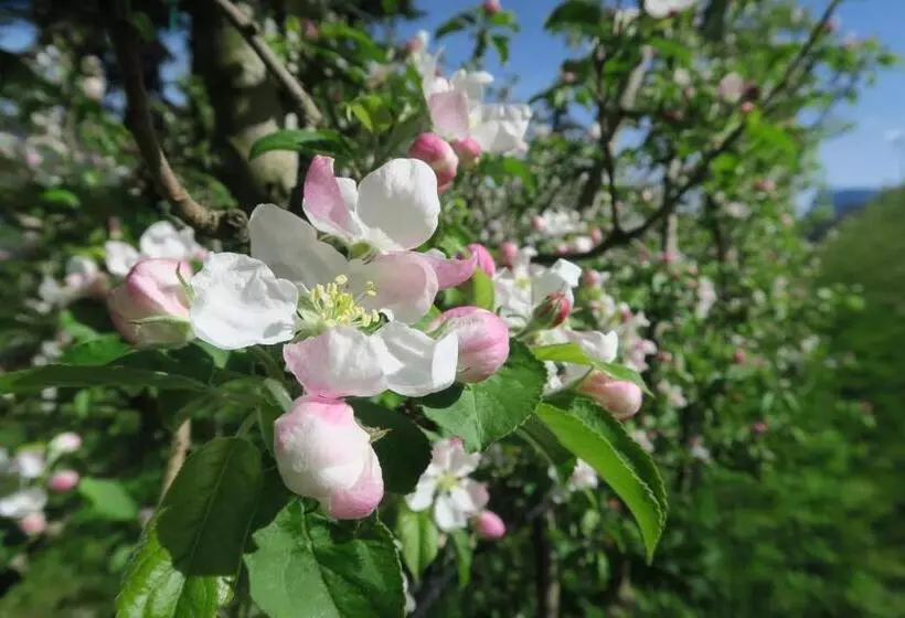 ホテル Burgleitenhof