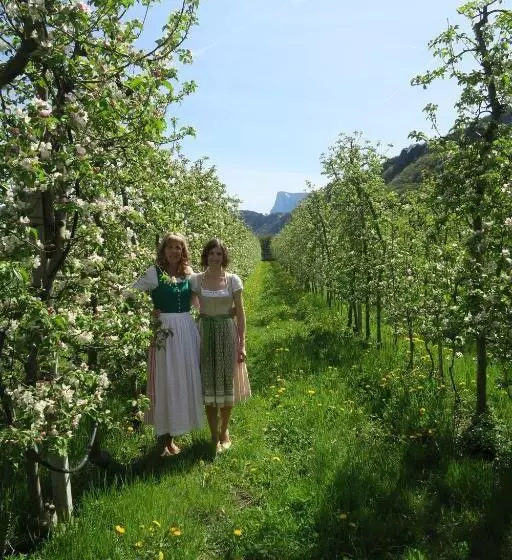 ホテル Burgleitenhof
