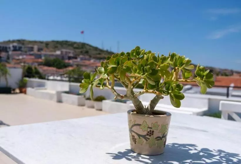Hotel Cesurlar