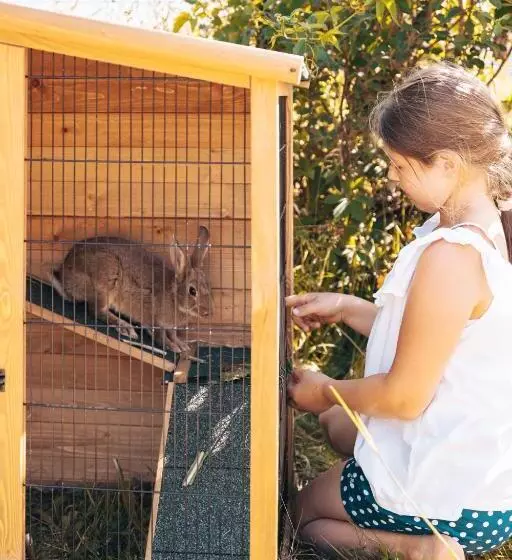 ホテル Das Mühlwald Quality Time Family Resort