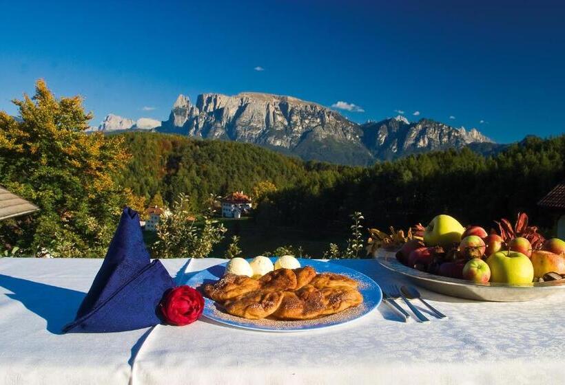 Отель Dolomitenblick