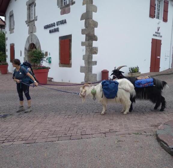 בית מלון כפרי Hôtel Camou