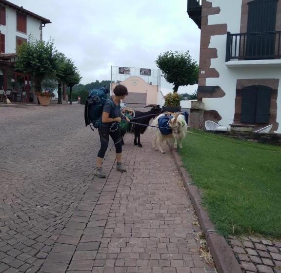 בית מלון כפרי Hôtel Camou