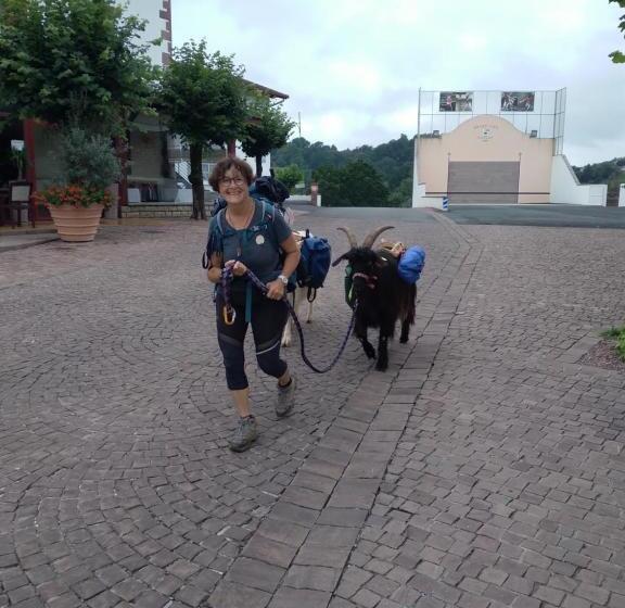 בית מלון כפרי Hôtel Camou