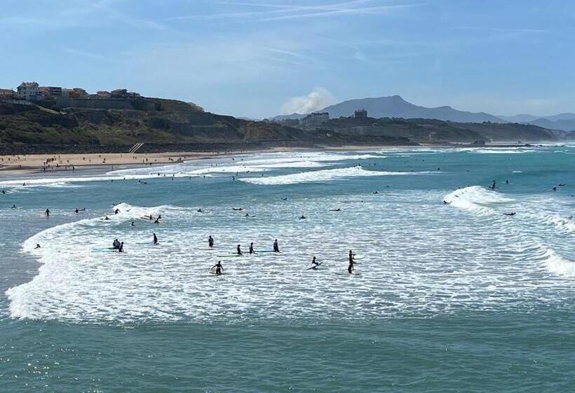 בית מלון כפרי Hôtel Camou