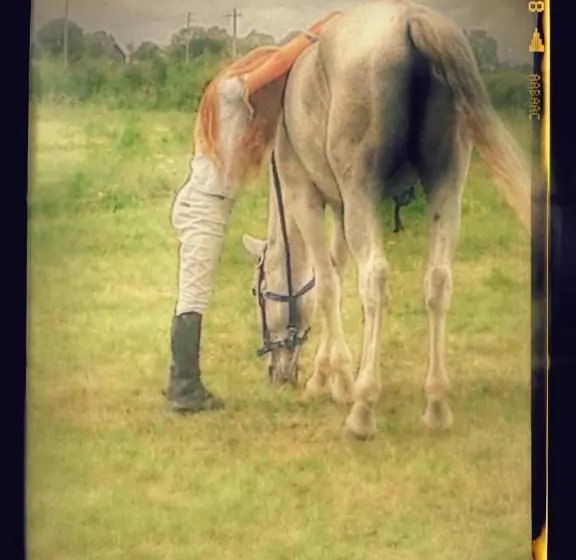 ホテル La Scuderia