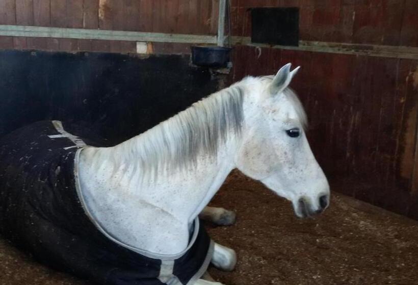 בית מלון כפרי La Scuderia