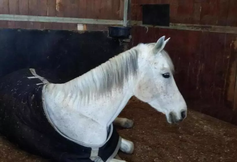 ホテル La Scuderia